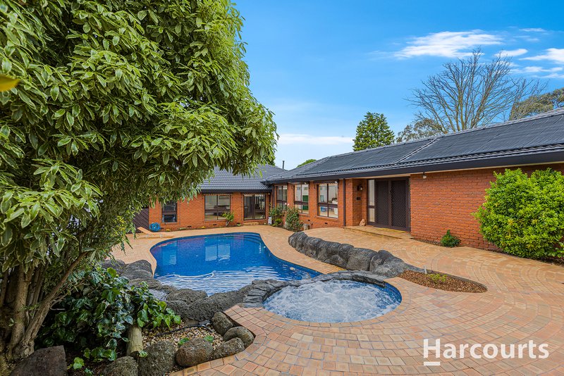 Photo - 141 Terrara Road, Vermont South VIC 3133 - Image 13