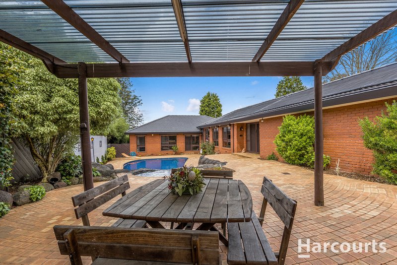 Photo - 141 Terrara Road, Vermont South VIC 3133 - Image 16