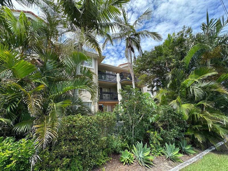 Photo - 14/1040 Gold Coast Highway, Palm Beach QLD 4221 - Image 19