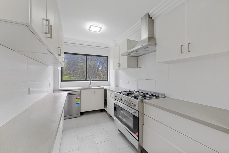 Photo - 14/12A-14 Wilga Street, Bondi NSW 2026 - Image 2