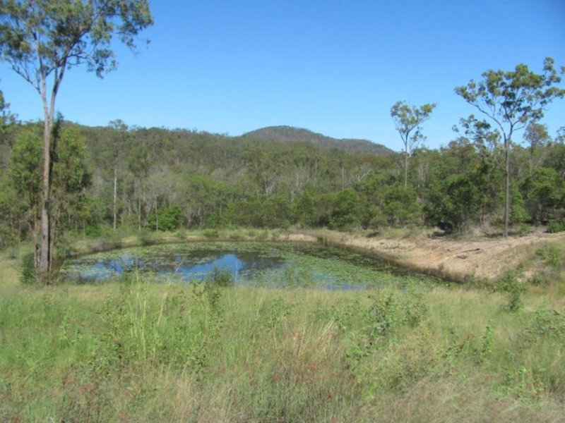 Photo - 1415 Hills Road, Euleilah QLD 4674 - Image 2