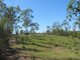 Photo - 1415 Hills Road, Euleilah QLD 4674 - Image 11