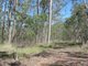 Photo - 1415 Hills Road, Euleilah QLD 4674 - Image 25