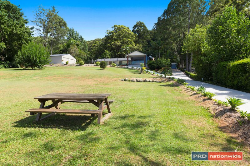 Photo - 142 Ayrshire Park Drive, Boambee NSW 2450 - Image 2