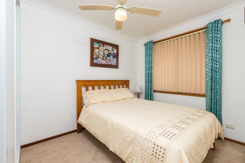 Photo - 142 Benjamin Lee Drive, Raymond Terrace NSW 2324 - Image 6