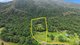 Photo - 142 Brays Road, Little Mulgrave QLD 4865 - Image 3