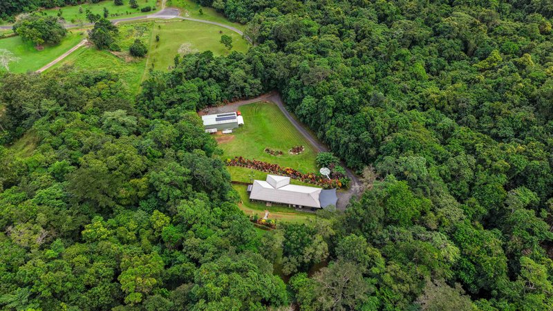 Photo - 142 Brays Road, Little Mulgrave QLD 4865 - Image 4