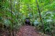 Photo - 142 Brays Road, Little Mulgrave QLD 4865 - Image 28