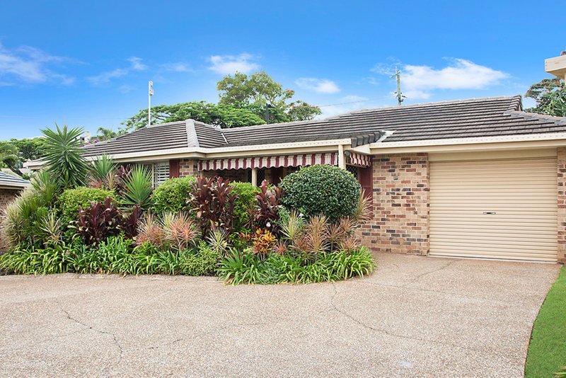 Photo - 142 Burnett Street, Buderim QLD 4556 - Image 2