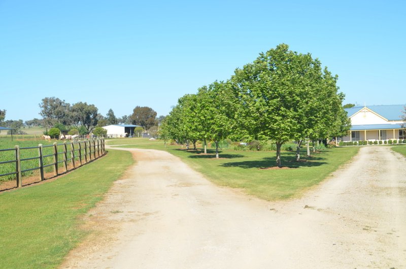 Photo - 142 Country Road, Tamworth NSW 2340 - Image 16