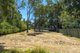 Photo - 142 Henderson Road, Saratoga NSW 2251 - Image 9