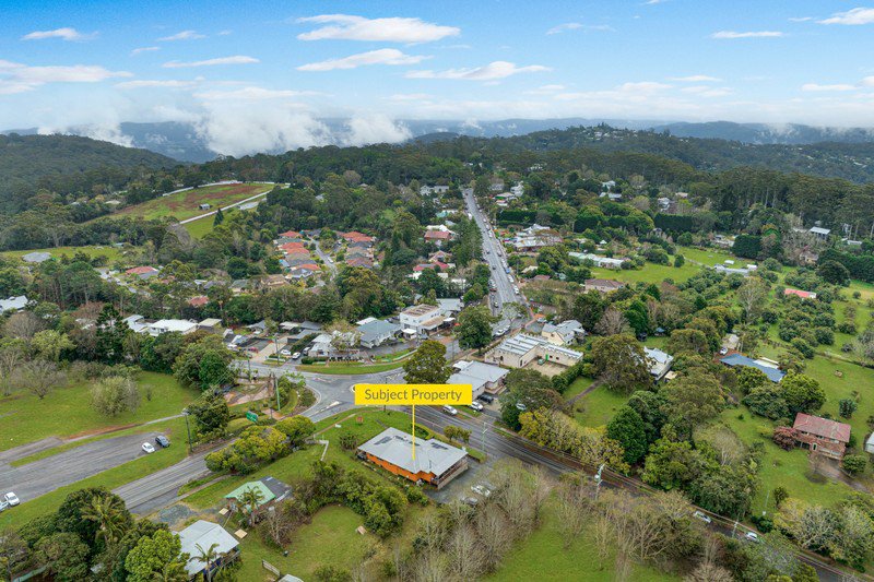 Photo - 142 Long Road, Tamborine Mountain QLD 4272 - Image 7