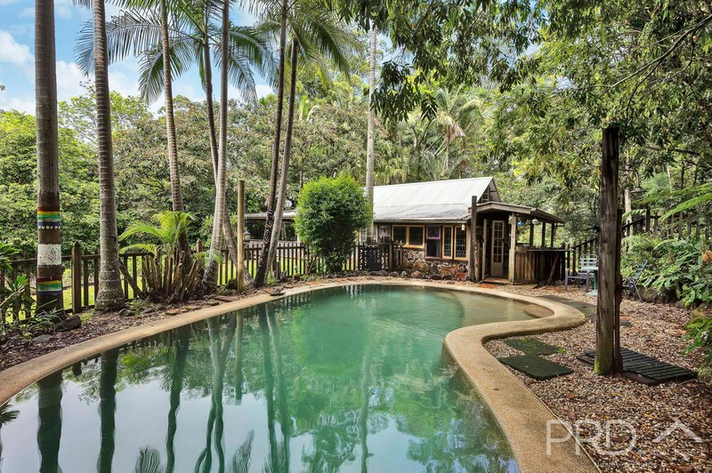 Photo - 142 Rose Road, Tuntable Creek NSW 2480 - Image 22