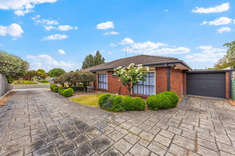 Photo - 1/42 Van Der Haar Avenue, Berwick VIC 3806 - Image 3