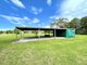 Photo - 1425 Manning Point Road, Mitchells Island NSW 2430 - Image 17