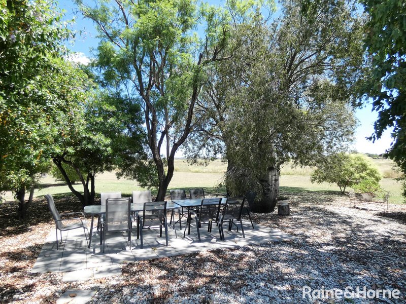 Photo - 143 Amaroo Drive, Moree NSW 2400 - Image 5