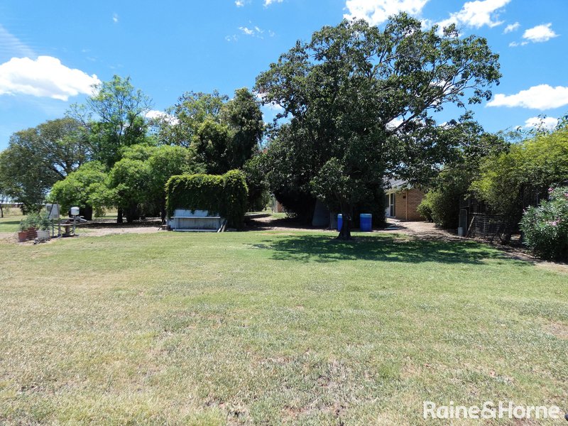 Photo - 143 Amaroo Drive, Moree NSW 2400 - Image 8