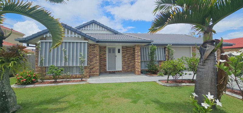 143 Ashmole Road, Newport QLD 4020