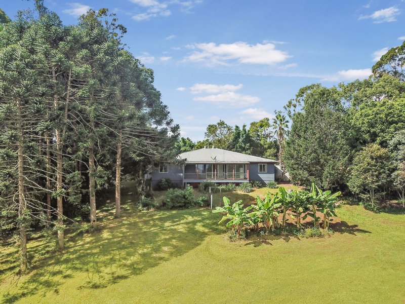 Photo - 143 Curramore Road, Witta QLD 4552 - Image 16