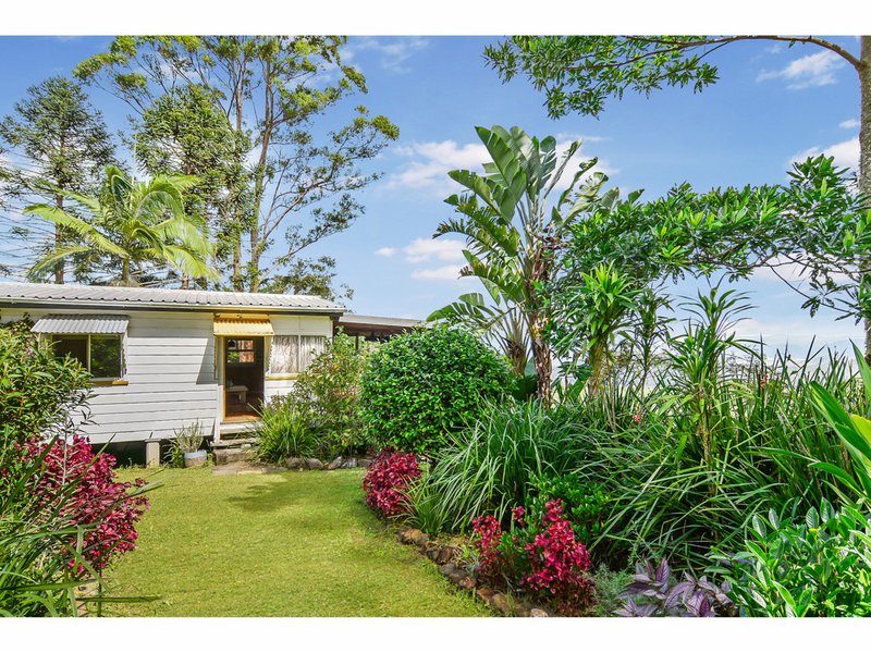 Photo - 143 Curramore Road, Witta QLD 4552 - Image 18