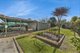 Photo - 143 Holdsworth Road, North Bendigo VIC 3550 - Image 2