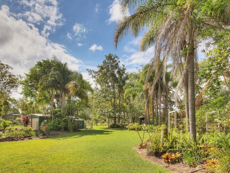 Photo - 143 Merluna Road, Park Ridge South QLD 4125 - Image 17