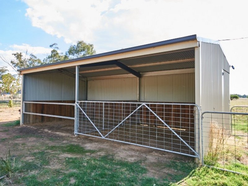 Photo - 143 Old Trunk Road, The Rock NSW 2655 - Image 12