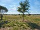 Photo - 143 Old Trunk Road, The Rock NSW 2655 - Image 15