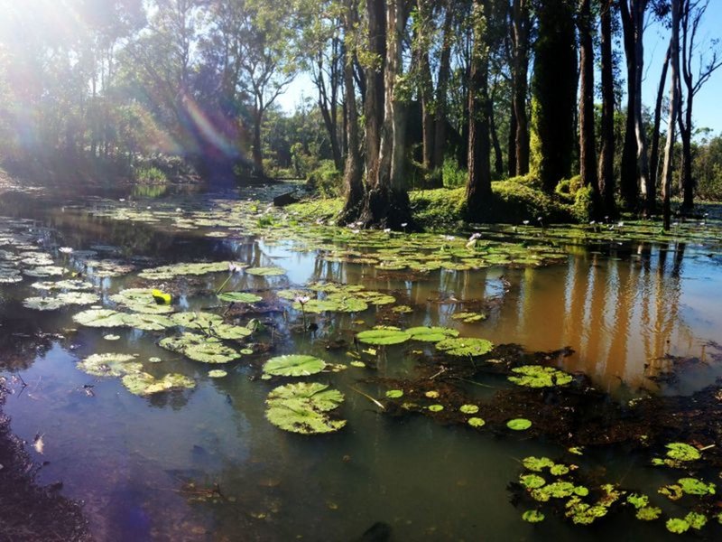 Photo - 14,/3 Tarrant Road, Salamander Bay NSW 2317 - Image 4