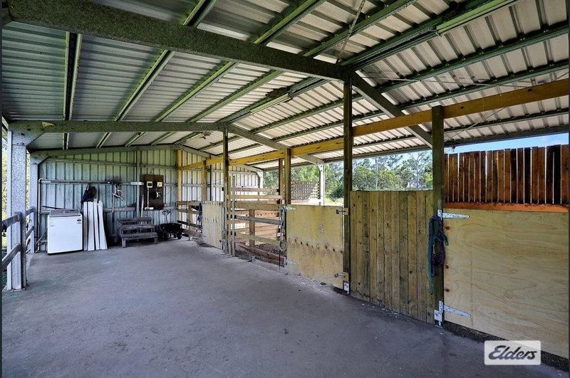 Photo - 143 Woodbury Drive, South Kolan QLD 4670 - Image 32