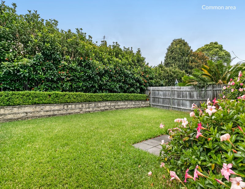 Photo - 1/43 Young Street, Cremorne NSW 2090 - Image 8