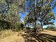 Photo - 1438 Batlow Road, Tumbarumba NSW 2653 - Image 3