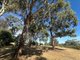 Photo - 1438 Batlow Road, Tumbarumba NSW 2653 - Image 8