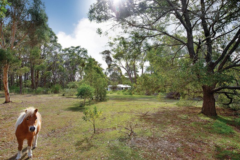 Photo - 1439 Glenelg Highway, Smythesdale VIC 3351 - Image 16