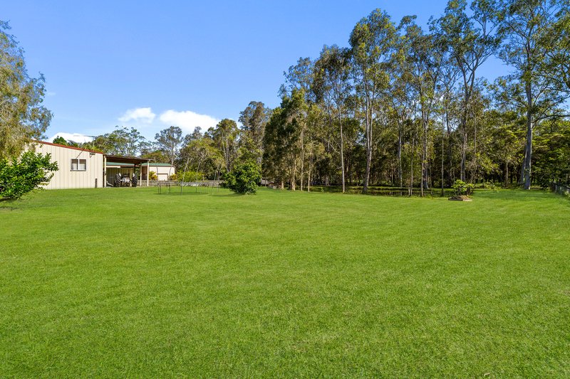 Photo - 144-146 Thylungra Road, Park Ridge South QLD 4125 - Image 19