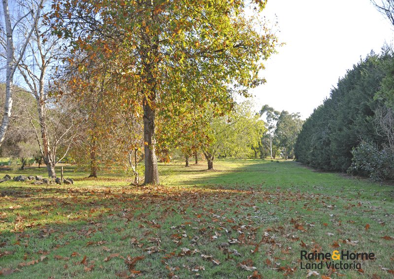 Photo - 144 Centre Road, Langwarrin VIC 3910 - Image 3