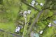 Photo - 144 Old Gympie Road, Mooloolah Valley QLD 4553 - Image 16