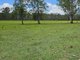 Photo - 1440 Coraki-Ellangowan Road, West Coraki NSW 2471 - Image 9