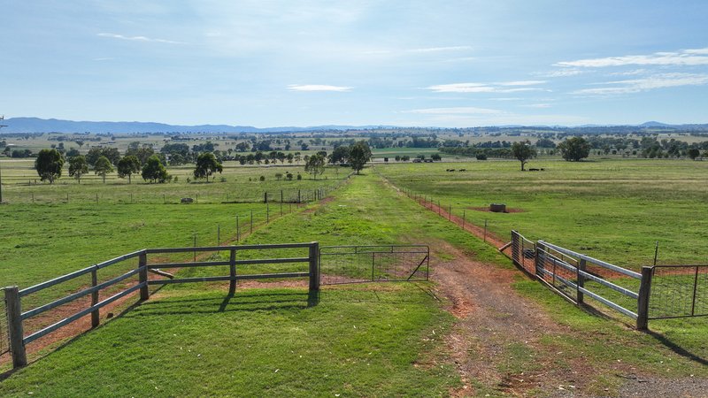 Photo - 14409 New England Highway, Tamworth NSW 2340 - Image 25