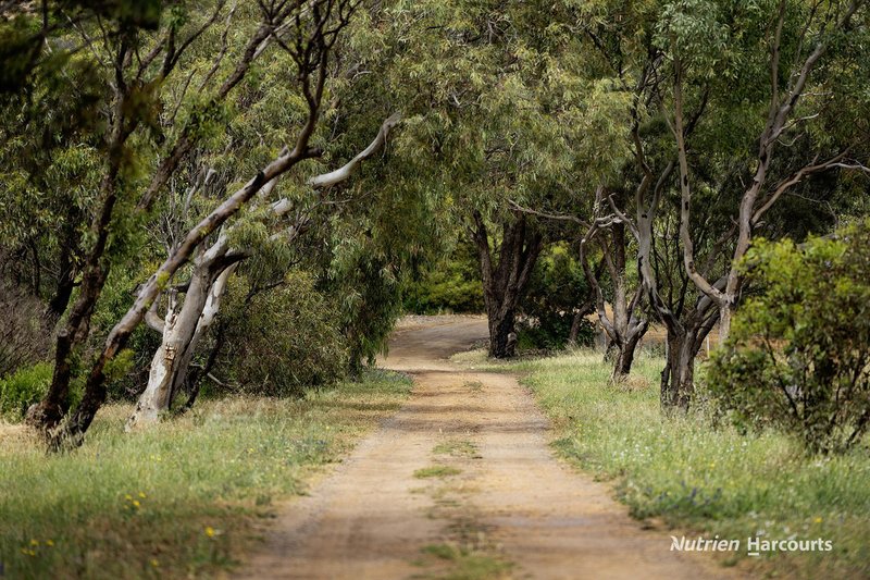 Photo - 1443 Company Road, Greenough WA 6532 - Image 31