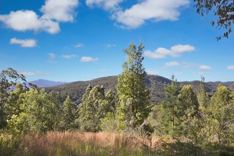 1449 Tyalgum Road, Tyalgum NSW 2484 Real Estate Industry Partners