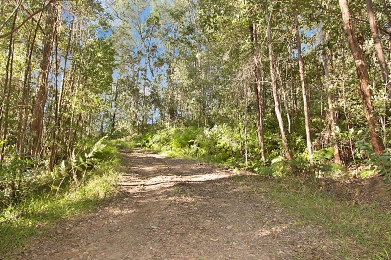 1449 Tyalgum Road, Tyalgum NSW 2484 Real Estate Industry Partners