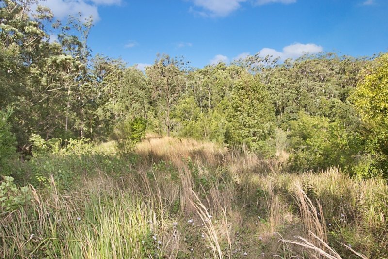 1449 Tyalgum Road, Tyalgum NSW 2484 Real Estate Industry Partners