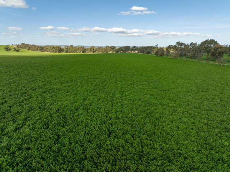 Photo - 1449 Yerong Creek Mangoplah Road, Yerong Creek NSW 2642 - Image 3