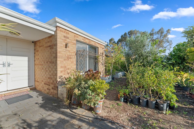 Photo - 145 Arpenteur Drive, Baldivis WA 6171 - Image 3