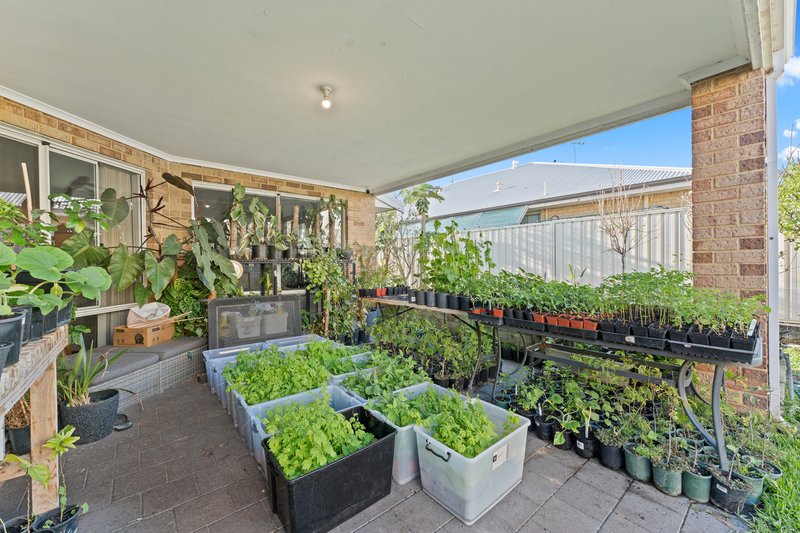 Photo - 145 Arpenteur Drive, Baldivis WA 6171 - Image 22