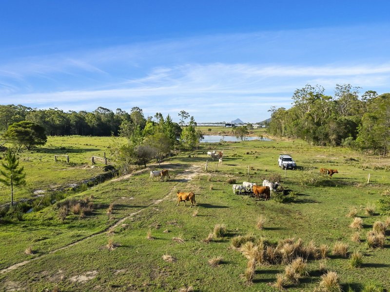 Photo - 145 Child Road, Wamuran QLD 4512 - Image 17