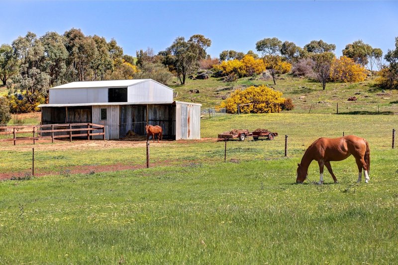 Photo - 145 D Collins Road, Mount Pleasant SA 5235 - Image 17