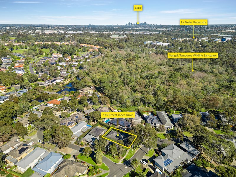 Photo - 145 Ernest Jones Drive, Macleod VIC 3085 - Image 14