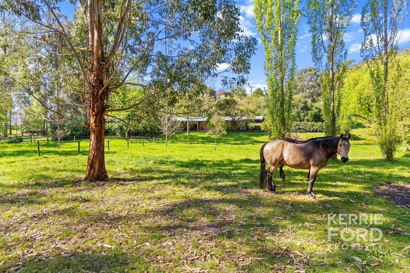 Photo - 145 Junction Road, Jeeralang Junction VIC 3840 - Image 23